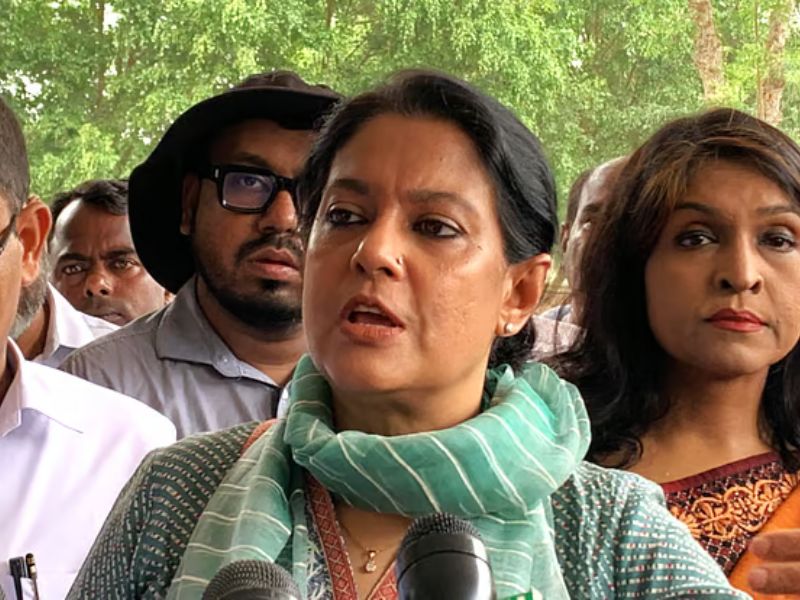 বন থাকবে বনের মতো, বন কেন পার্ক হবে: সৈয়দা রিজওয়ানা হাসান